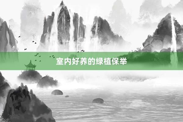 室内好养的绿植保举