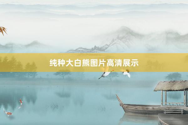纯种大白熊图片高清展示