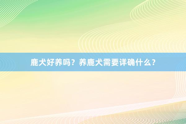 鹿犬好养吗？养鹿犬需要详确什么？