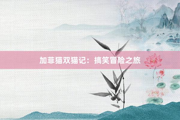 加菲猫双猫记：搞笑冒险之旅